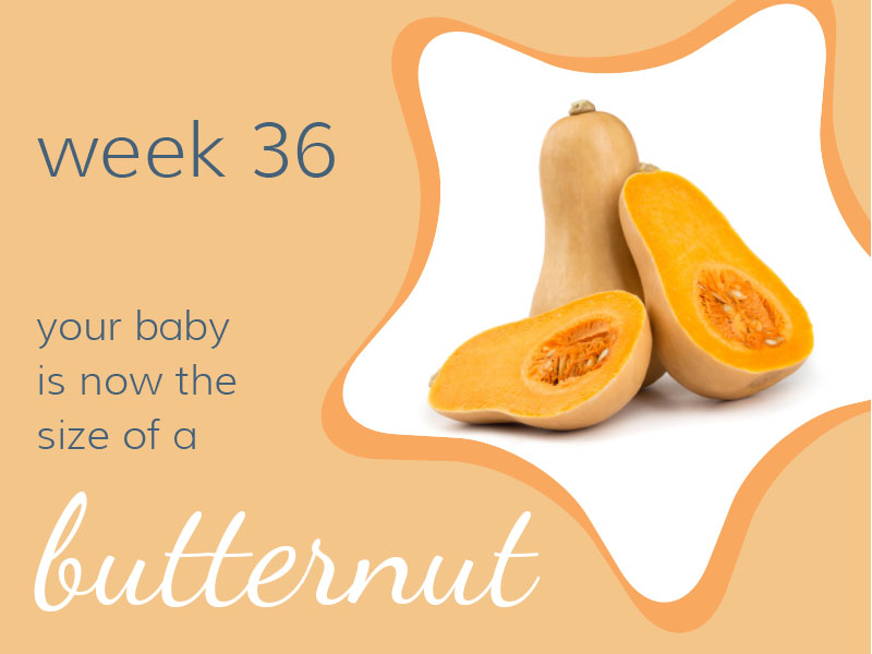 Week 36